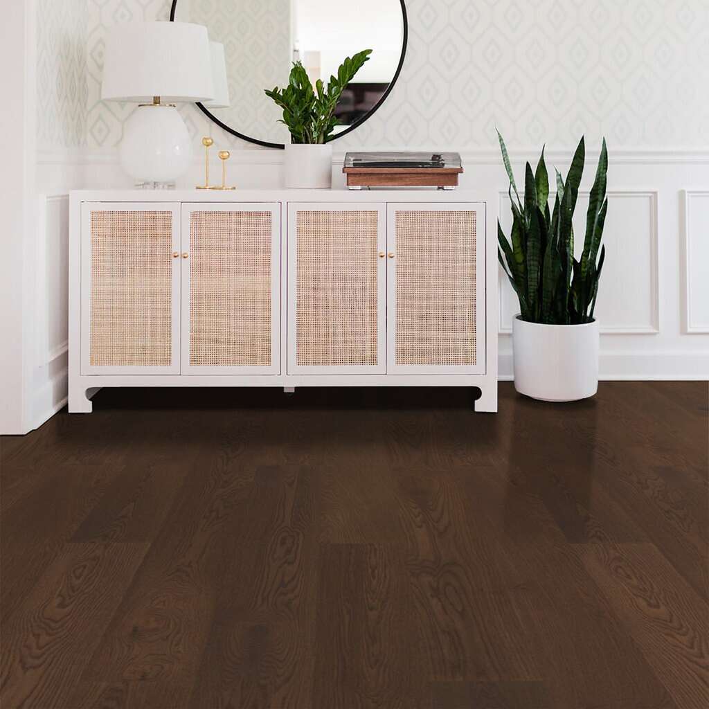 Expression Muse Console